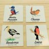 Set imanes aves nativas